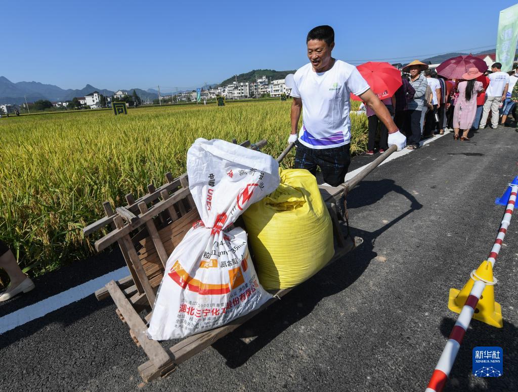 Zhejiang, giochi divertenti nel campo di risaia