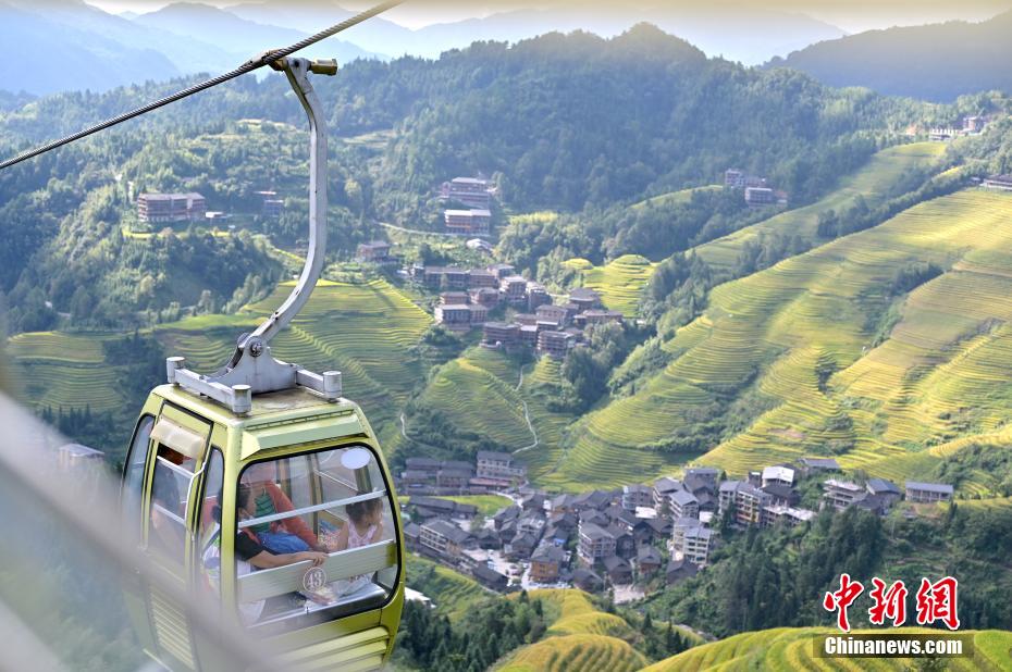 Guangxi, bellissimi campi di terrazza d'autunno