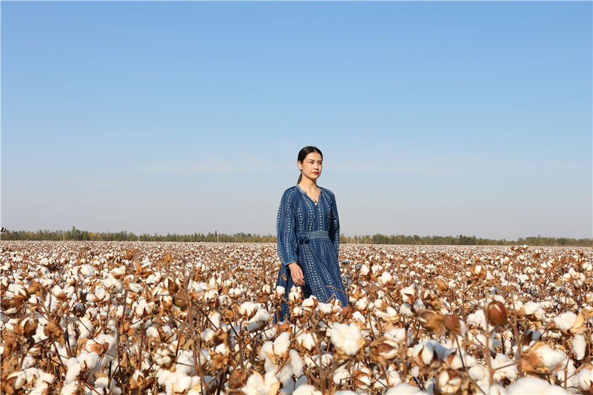 Xinjiang: sfilata di moda nel campo di cotone 