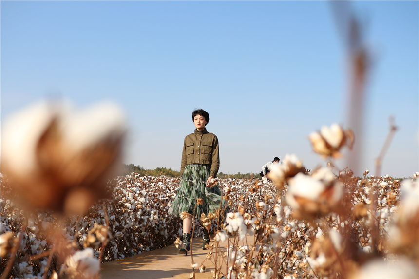 Xinjiang: sfilata di moda nel campo di cotone 