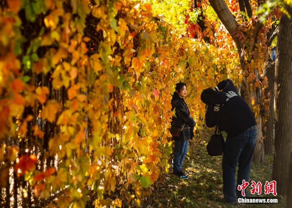 Beijing in autunno 