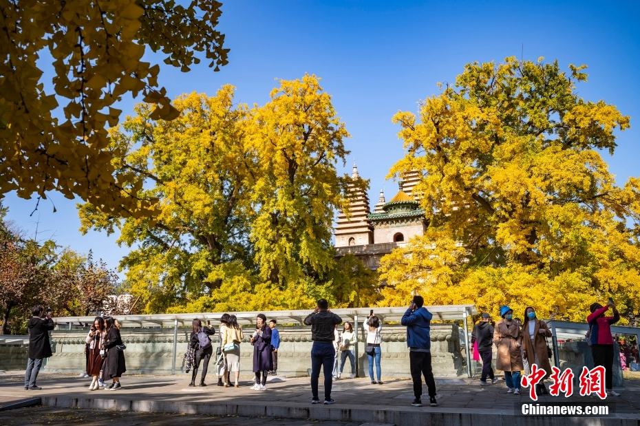 Beijing in autunno 