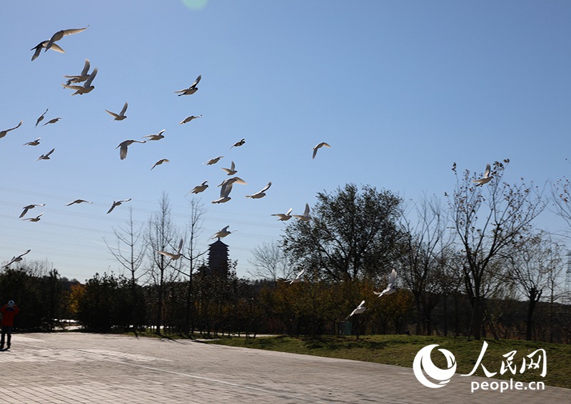 Visita al trampolino di Salto con gli Sci del Parco Olimpico Invernale accanto al Parco Shougang