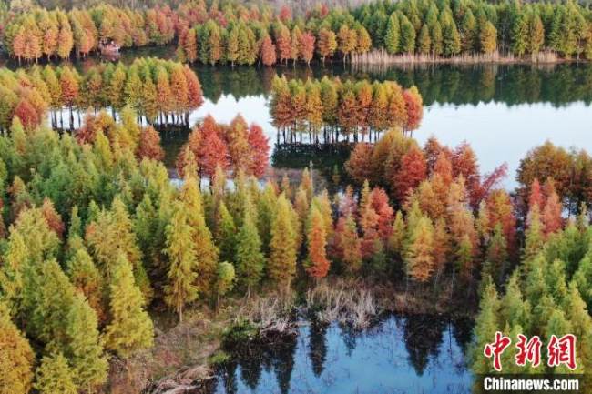 Jiangsu, spettacolare pittura naturale d'inverno di Xuyu