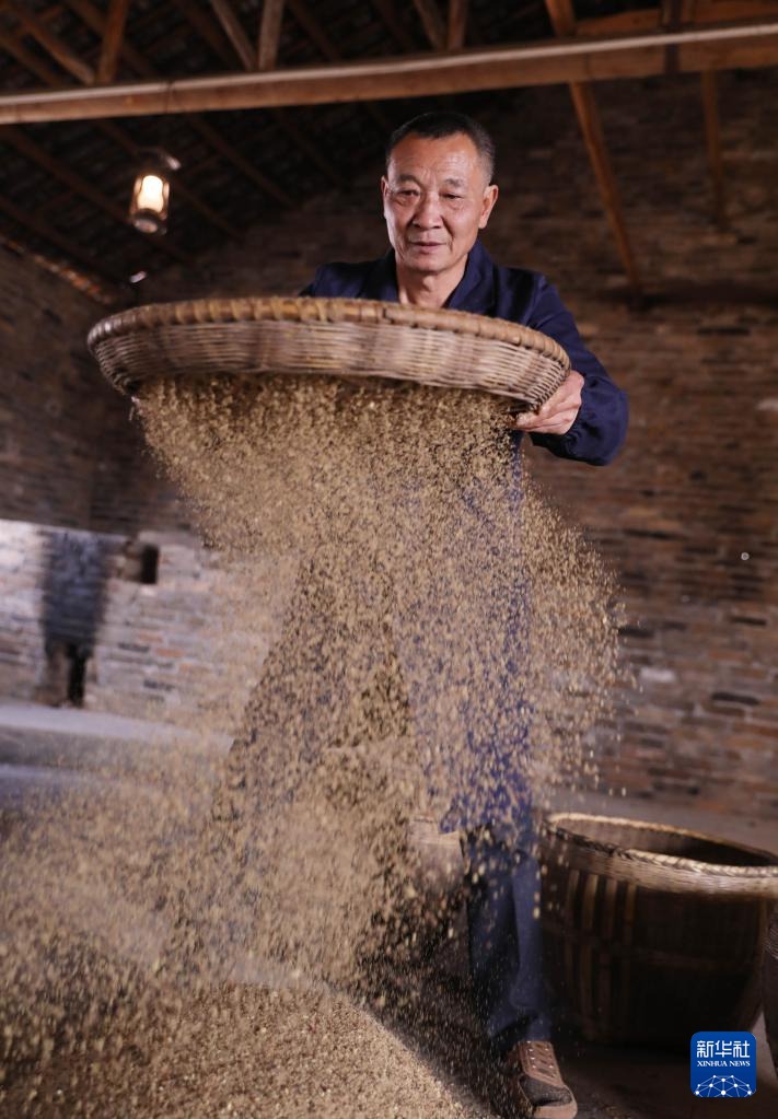 Antichi mestieri: estrazione dell'olio di tè in modo tradizionale