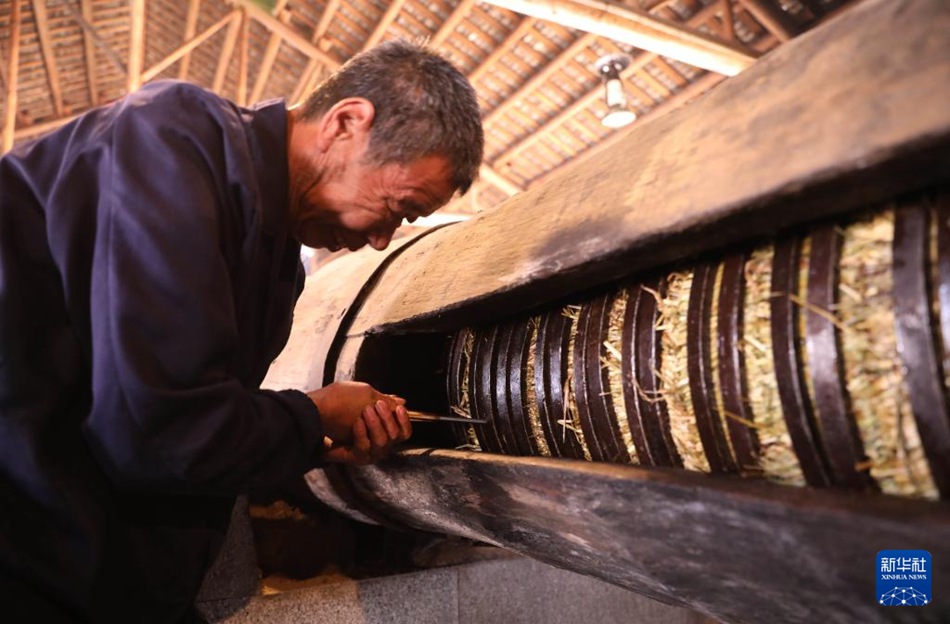 Antichi mestieri: estrazione dell'olio di tè in modo tradizionale