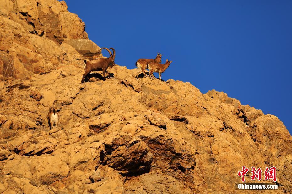 Xinjiang, Bozhou: scenario invernale nelle montagne Gangjige