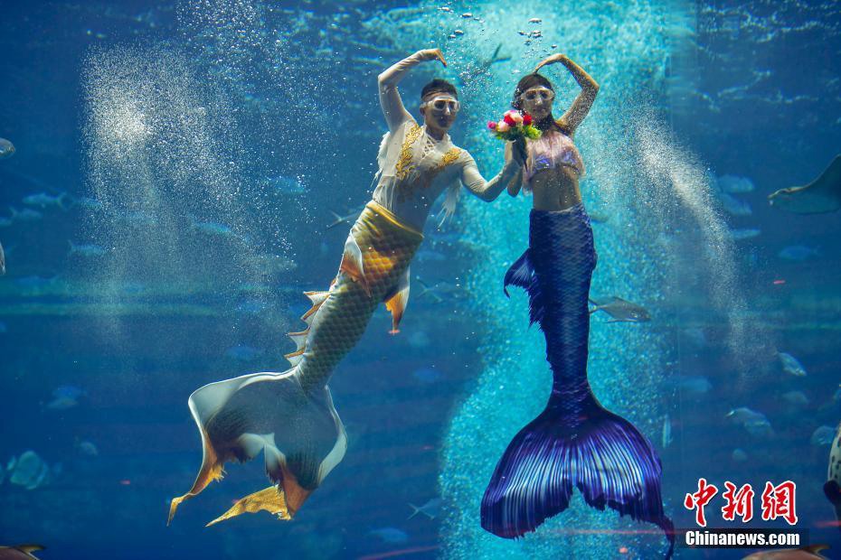 Il primo spettacolo competitivo delle sirene cinesi prende il via a Sanya