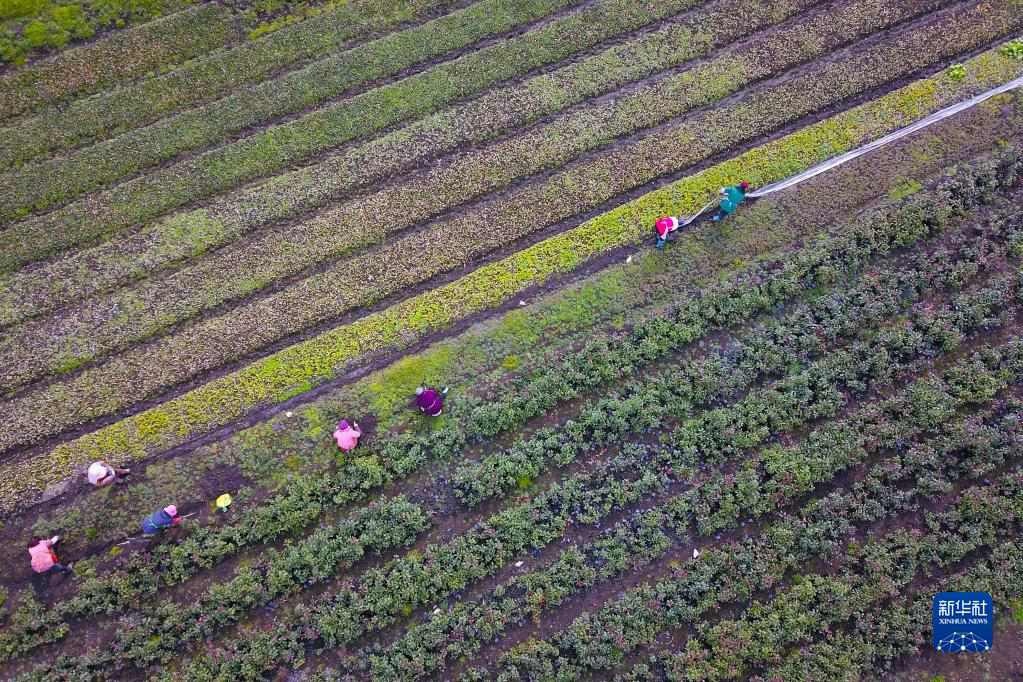 Guizhou: è tornata la primavera