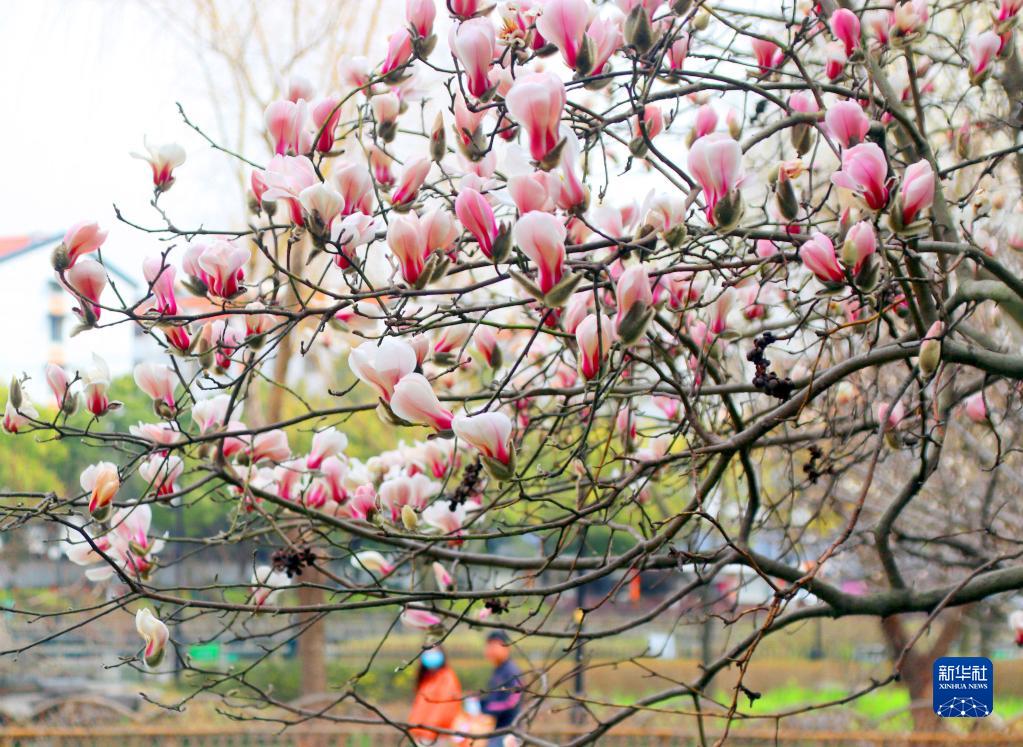 è arrivata la primavera