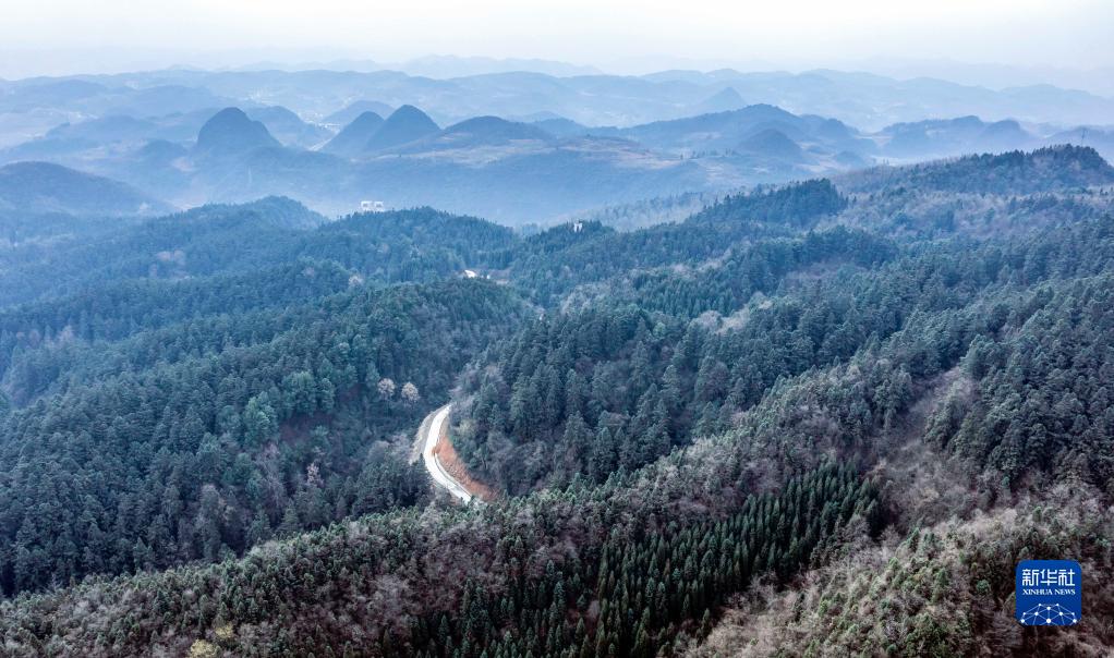 Guizhou, 62,12% il tasso di copertura forestale