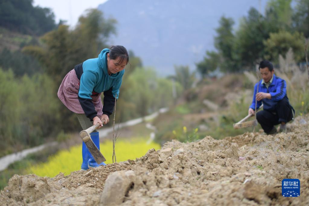 Guizhou, 62,12% il tasso di copertura forestale