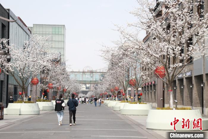 Hangzhou: cittadini si godono la primavera soleggiata