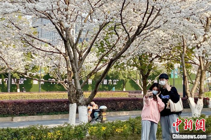 Hangzhou: cittadini si godono la primavera soleggiata