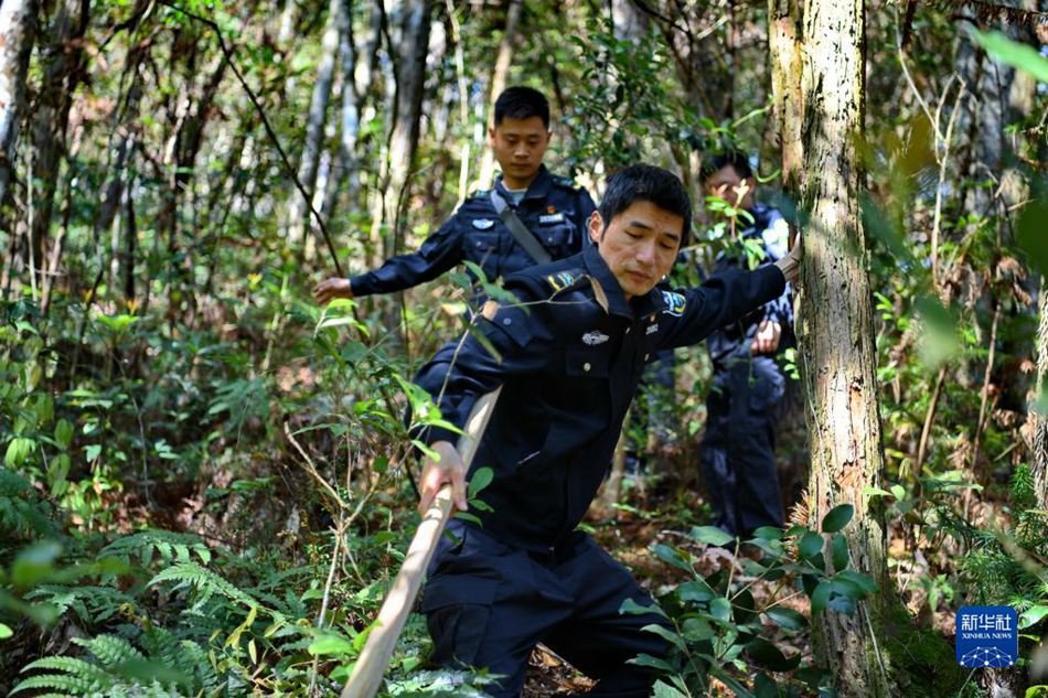 Fujian: angelo custode del parco nazionale del Monte Wuyi