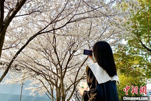 Hangzhou: cittadini si godono la primavera soleggiata