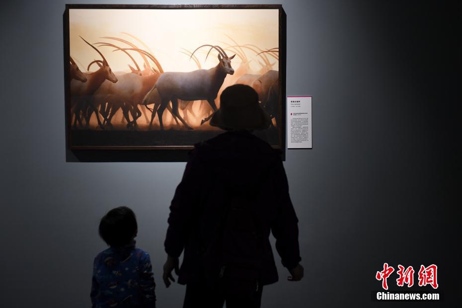 Beijing, mostra fotografica su animali in via di estinzione