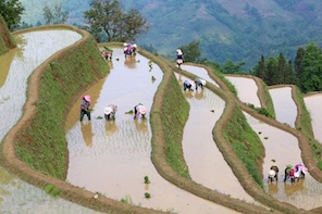 Cina: contadini impegnati nei lavori agricoli primaverili