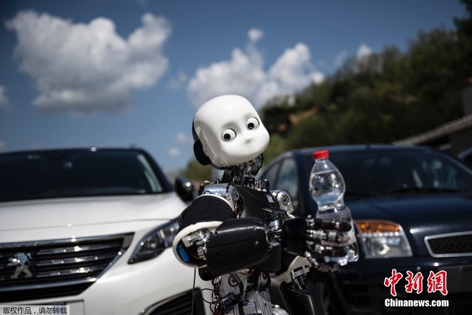 Italia, robot interattivo in grado di essere operato da 300 km di distanza