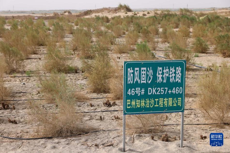 Xinjiang, Cina: corridoio verde antisabbia costruito lungo la ferrovia del deserto 