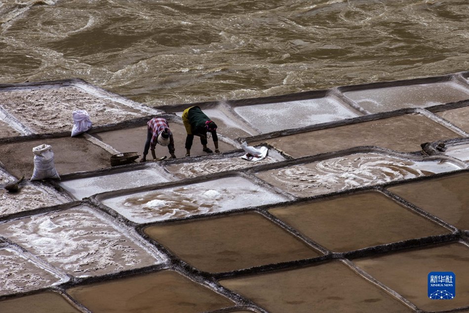 Tibet: la nuova vitalità nelle saline di un antico villaggio