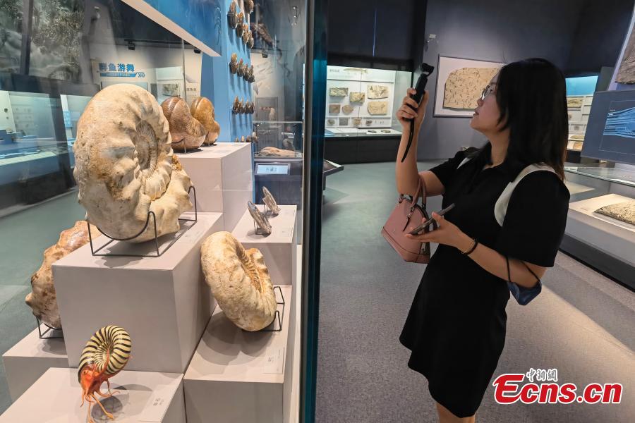 Il nuovo Museo di Storia Naturale di Chengdu pronto per l'apertura