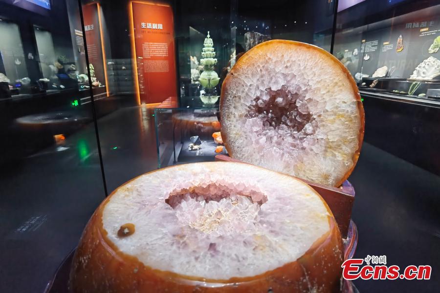 Il nuovo Museo di Storia Naturale di Chengdu pronto per l'apertura