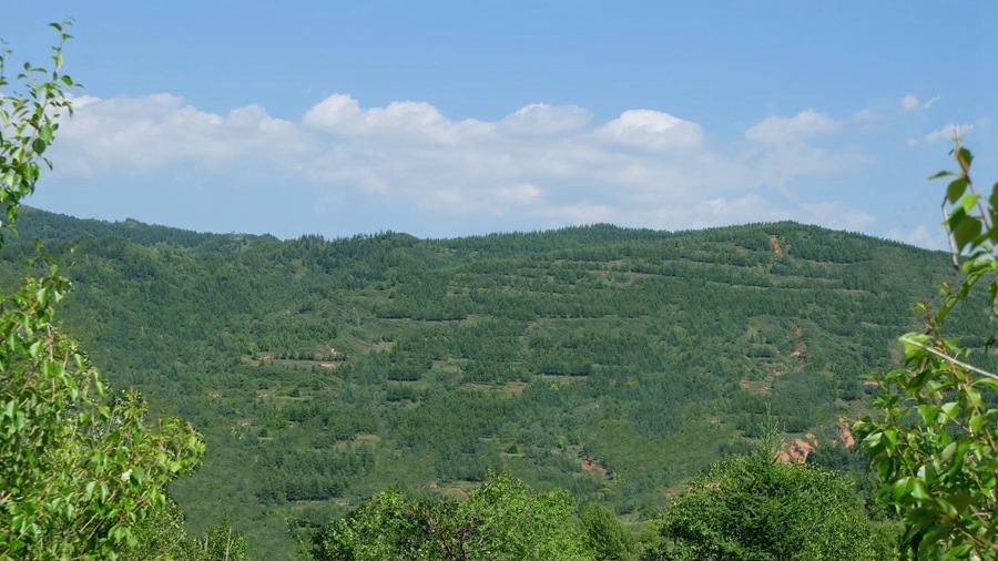 Ningxia, Cina: vegetazione lussureggiante fiorisce nella contea di Longde