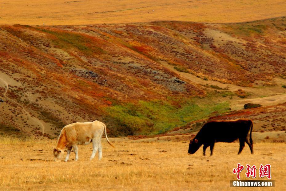 Xinjiang: le montagne tinte dai colori autunnali