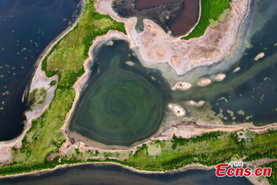 Diverse formazioni saline compaiono nel 