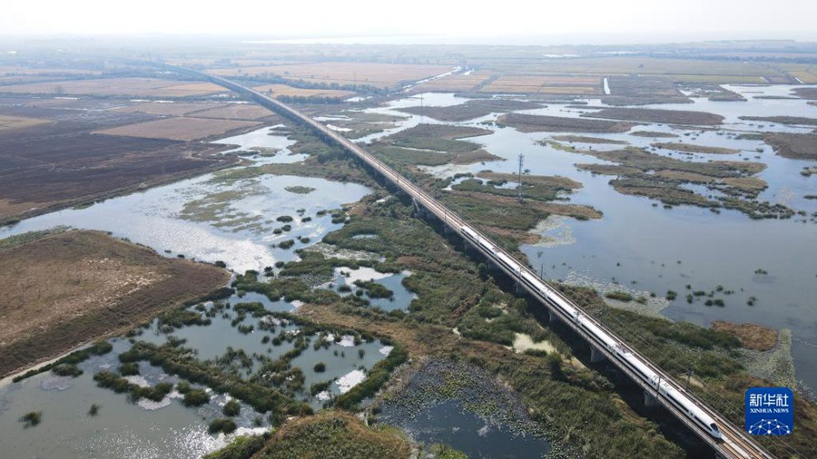 Hefei: zona umida di Shibalianwei, un'immagine ecologica sulla riva del lago Chaohu