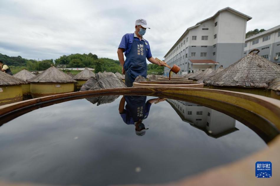 Cina sudoccidentale: aceto Chishui acquisisce nuova vita con il tradizionale processo di produzione 