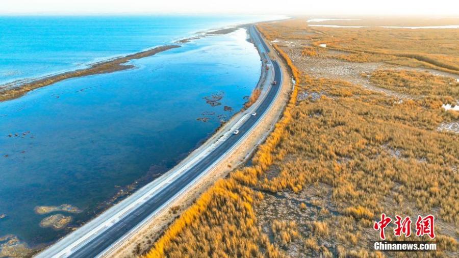 Xinjiang: i fiori di canna d'oro aggiungono bellezza al lago Bosten