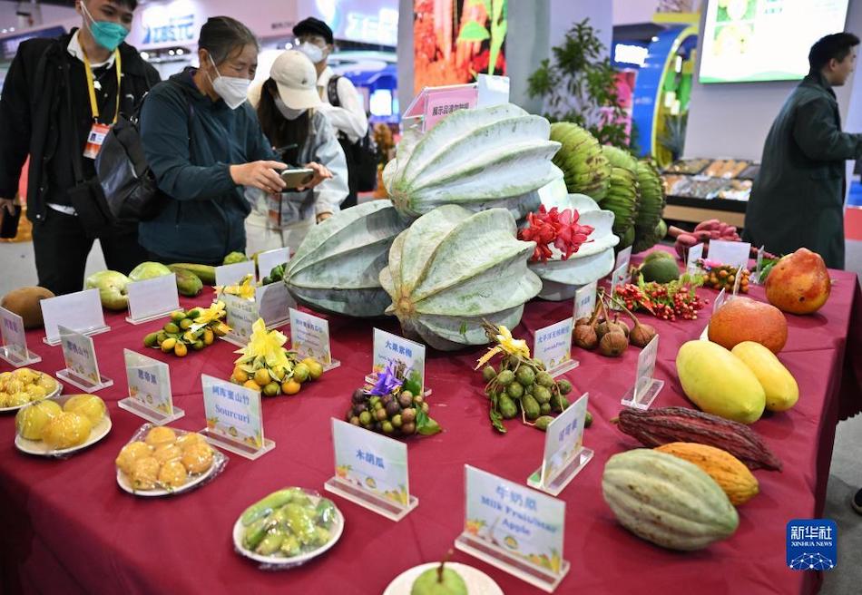 Aperta la Fiera invernale internazionale dei prodotti agricoli tropicali della Cina (Hainan) 2022