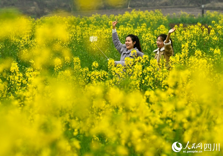 Sichuan: i fiori attirano visitatori, creando un meraviglioso scenario rurale