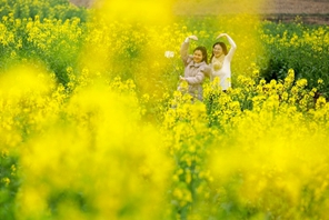 Sichuan: i fiori attirano visitatori, creando un meraviglioso scenario rurale