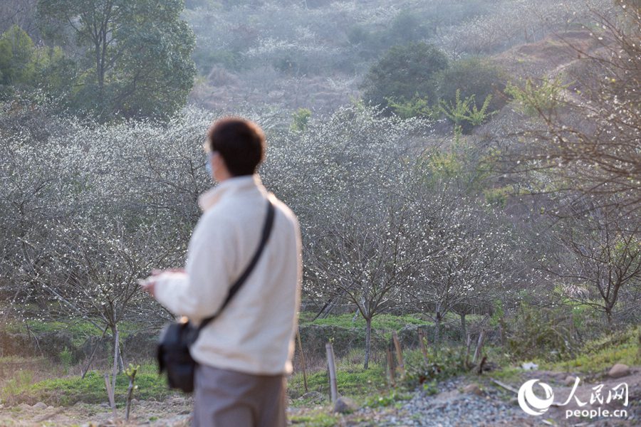 Fuzhou: sbocciano i fiori di pesco e di prugno