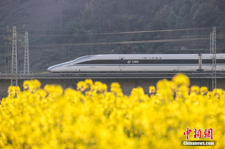 Guizhou: i treni attraversano i campi di colza