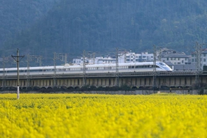 Guizhou: i treni attraversano i campi di colza