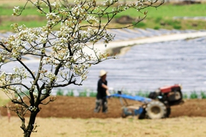 Cina: agricoltori impegnati nella coltivazione primaverile