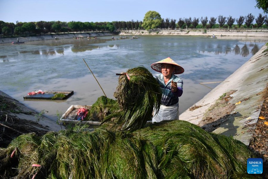 Hunan: il lago Datong vede significativi miglioramenti ambientali ed economici