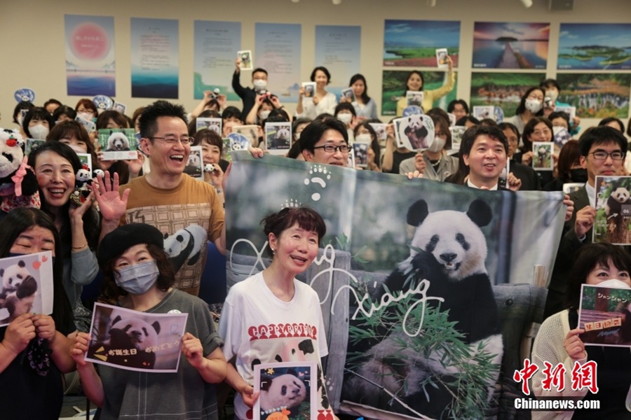 Giappone: festa di compleanno per il panda gigante Xiang Xiang