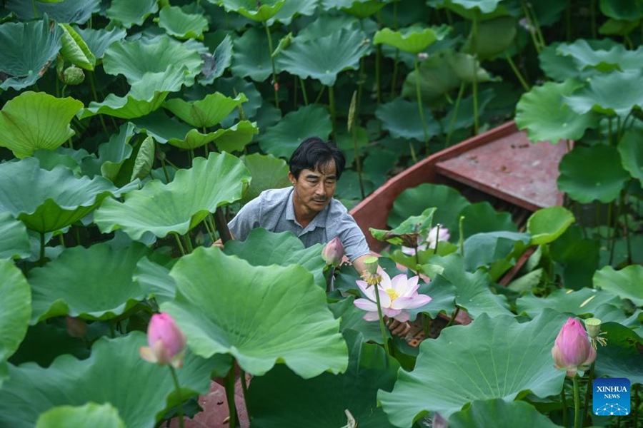 Zhejiang si concentra sullo sviluppo verde e sostenibile