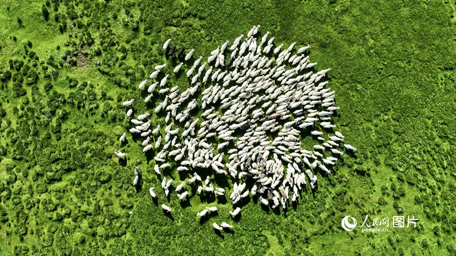 Prima Giornata Nazionale dell'Ecologia: acque limpide e montagne verdi sono come miniere d'oro e d'argento