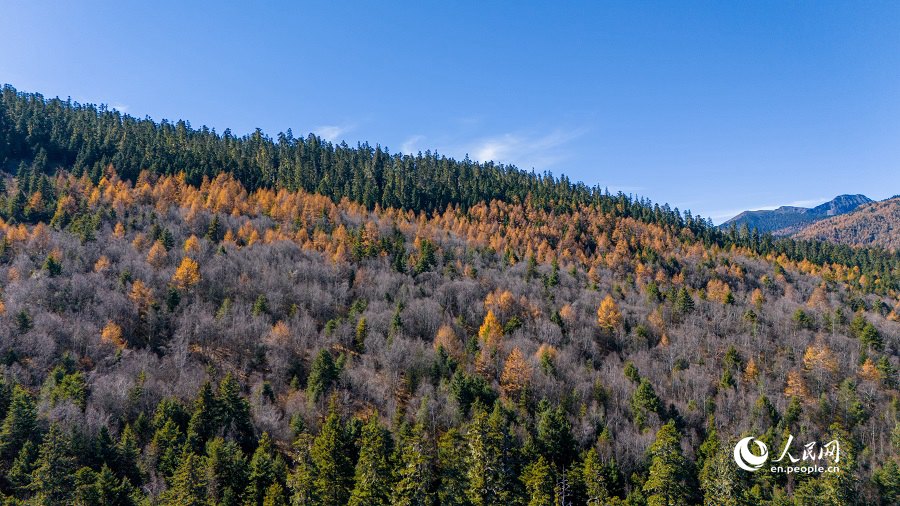 Pittoresco scenario di inizio inverno nel Parco Nazionale Shangri-La nello Yunnan