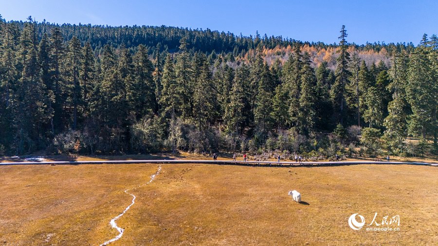 Pittoresco scenario di inizio inverno nel Parco Nazionale Shangri-La nello Yunnan