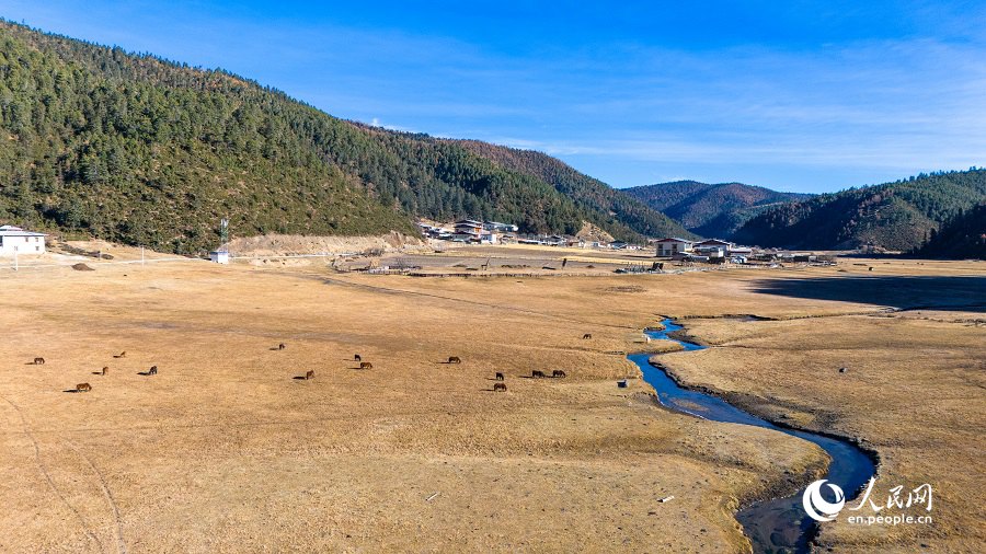 Pittoresco scenario di inizio inverno nel Parco Nazionale Shangri-La nello Yunnan