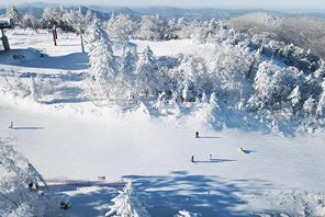 Scenari innevati da sogno nel nord-est della Cina