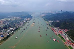 L'industria del tè Liubao fiorisce a Wuzhou