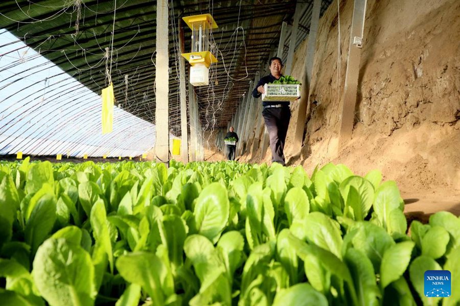 Contromisure della Cina in risposta alle basse temperature